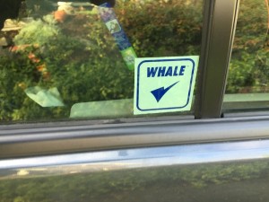 whale-sticker