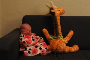 Newborn girl pictured with stuffed giraffe on navy sofa