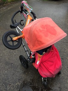 Strider orange balance bike loaded onto Bugaboo Frog stroller