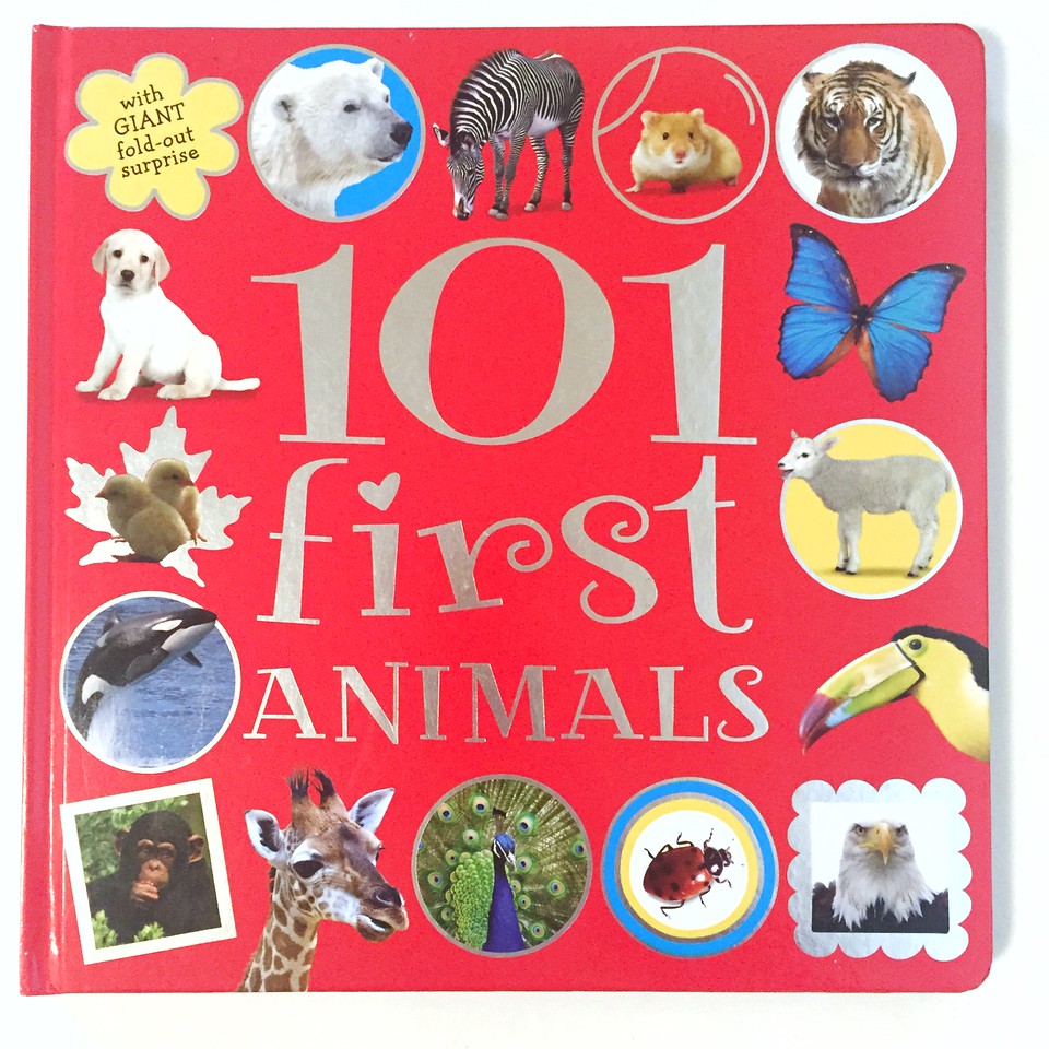 101 First Animals big board book from Make Believe Books