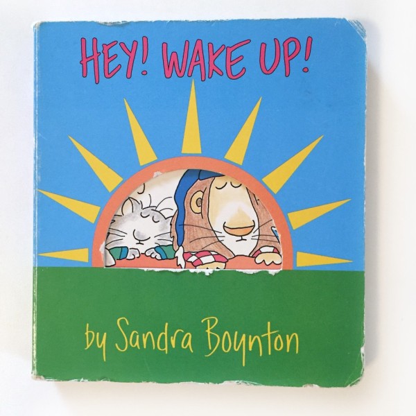 Hey Wake Up board book by Sandra Boynton