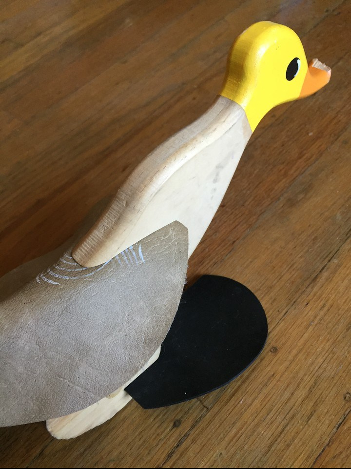 walking duck toy