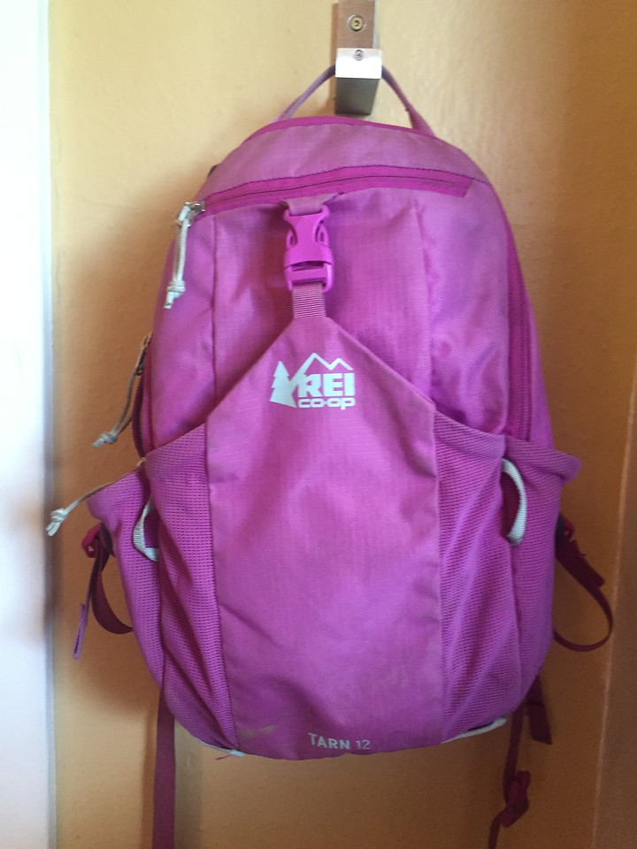 REI Kids Tarn 12 Kids Backpack in purple pinkish color with gray accents hanging on hook on wall