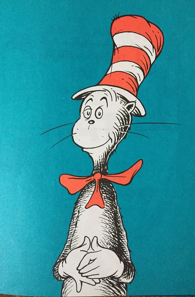 The Cat in the Hat by Dr. Seuss Theodor Giesel