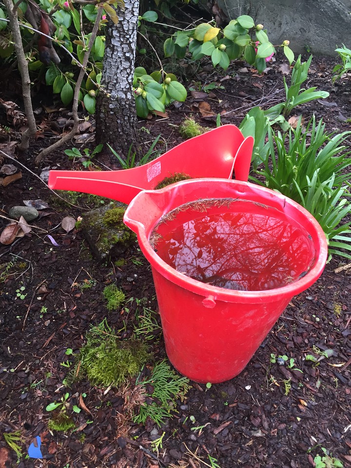 Child's red watering can from IKEA and red bucket sitting in yard