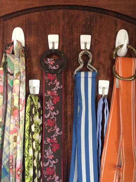 Belts hanging on command hooks inside closet door