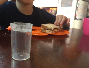 Spider captured by kid inside bug vacuum clear container sitting on dining room table while child eats lunch