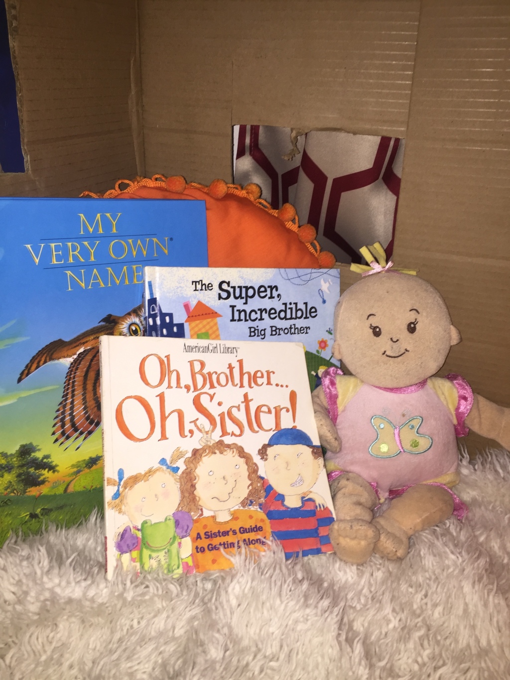 gifts for siblings My Very Own Name book, The Super Incredible Big Brother book, Oh Brother, Oh Sister book, Baby Stella doll inside cardboard box nook hangout