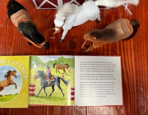 Sunny Trails Farms Bella's Secret book open to page