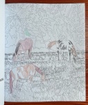 Ultimate Coloring National Parks horses colored in by ten year old